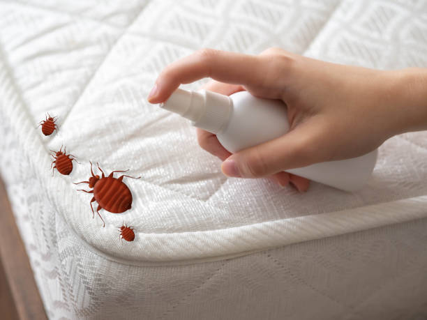 Real Estate Pest Inspections in Riverbank, CA